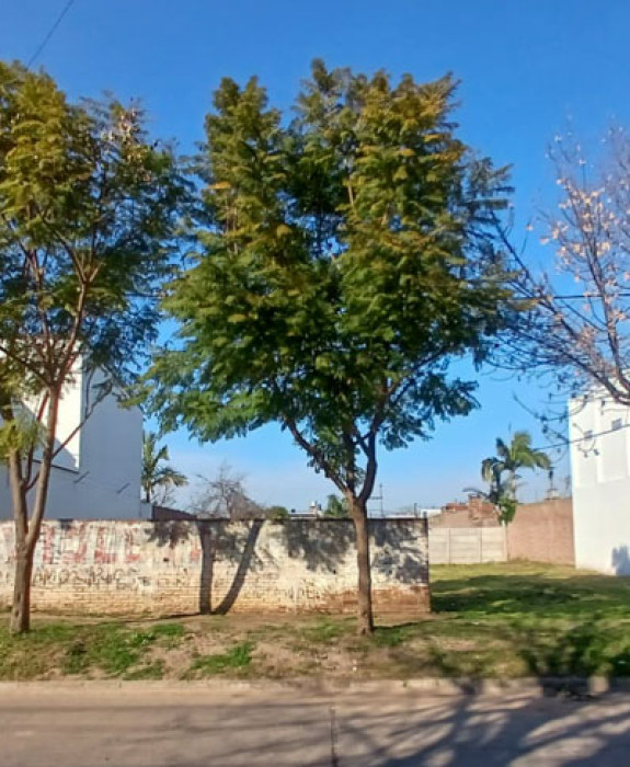 Terreno en Guadalupe Oeste