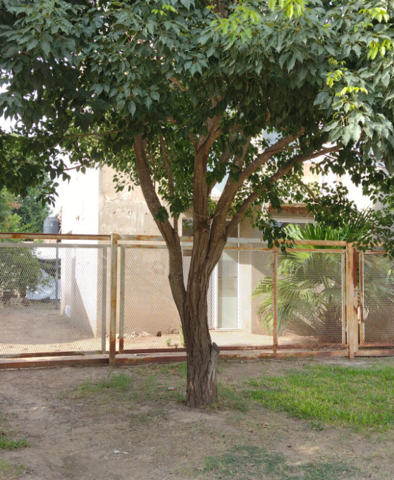 Casa en venta Apta Crédito a terminar